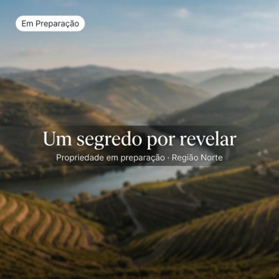 Propriedade no Douro